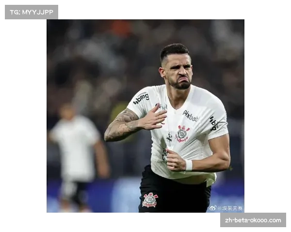 巴甲联赛裁判水平提升,重大错判漏判减少